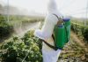 How Many Jobs Are Available in Agricultural Chemicals
