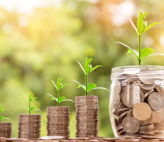 Is Blue Wave Loans Legit