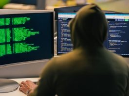 North Korean Remote IT Worker Scheme